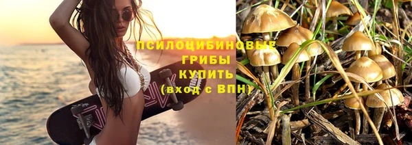 дживик Белоозёрский