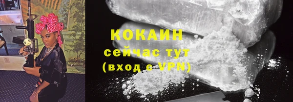 дживик Белоозёрский