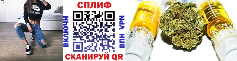 дарнет шоп  Каневская  Шишки марихуана ГИДРОПОН 